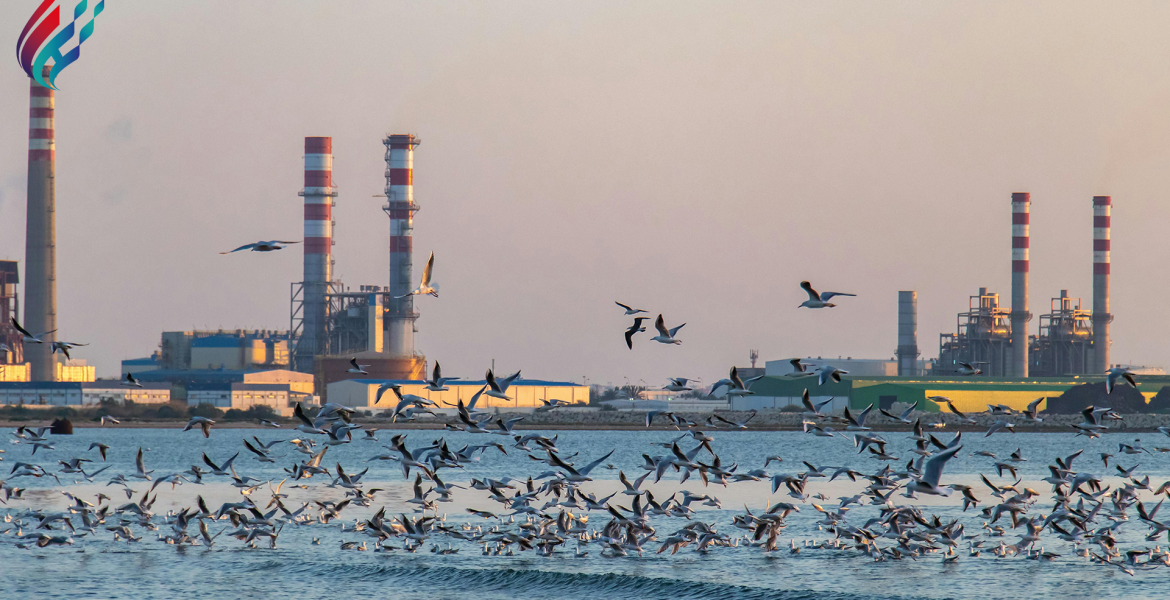 Why is petroleum industry important?