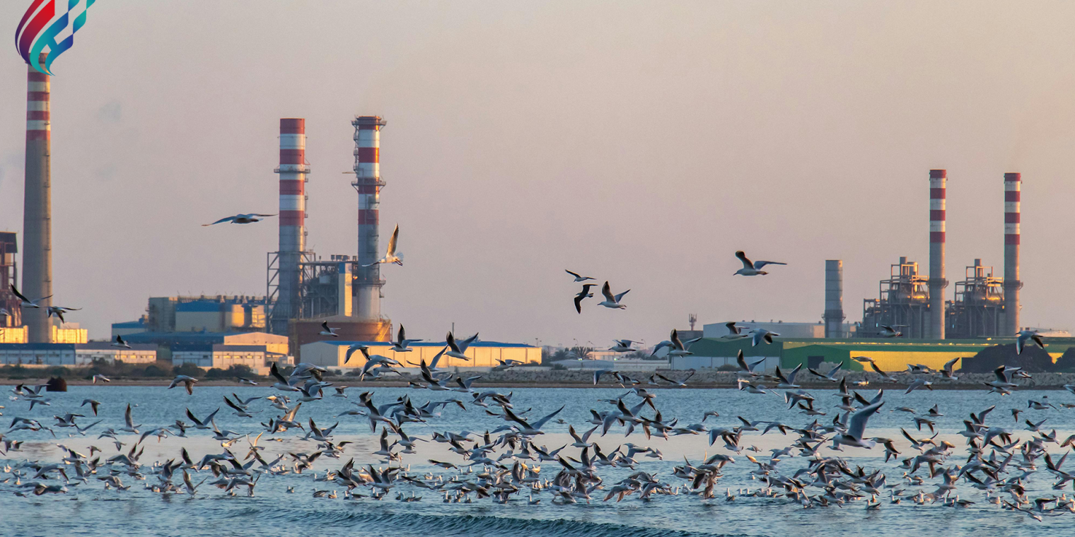Why is petroleum industry important?
