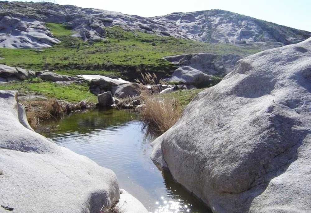 روز‌های خلوت مشهد در زمستان